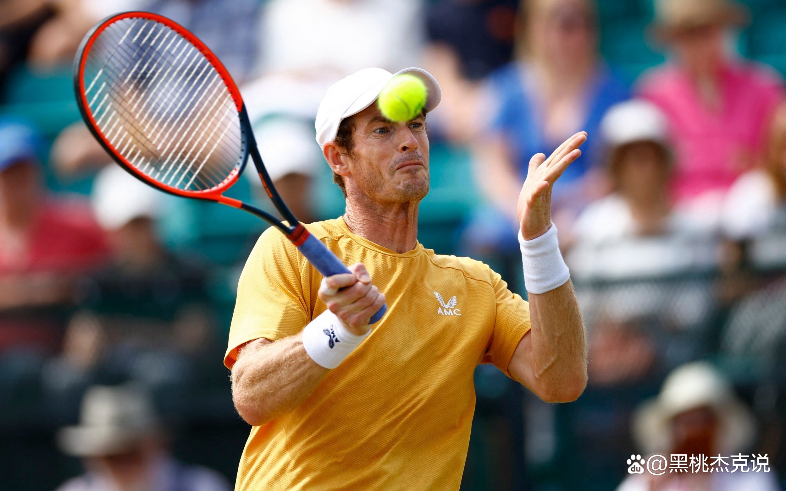 开云体育登录-联合杯碾压温网，穆雷状态火热