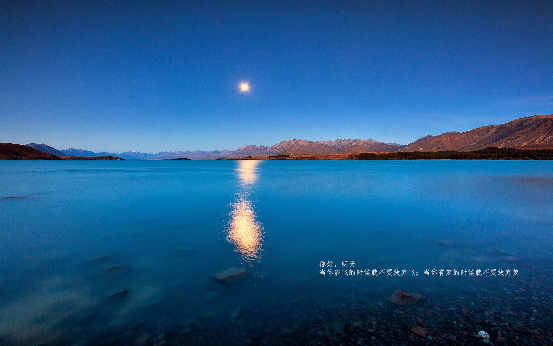 开云体育视频直播-赛道上的星辰，莱奥在F1新赛季揭幕战之夜的传奇时刻