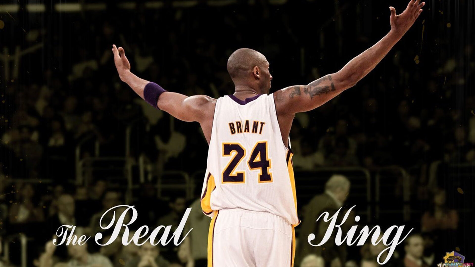 开云平台-欧冠淘汰赛焦点战，公牛全面压制国王